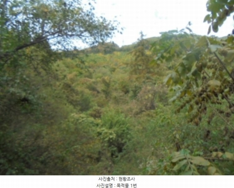 2024타경35155 충청북도 충주시 살미면 세성리 산19-3 임야 경매 이미지