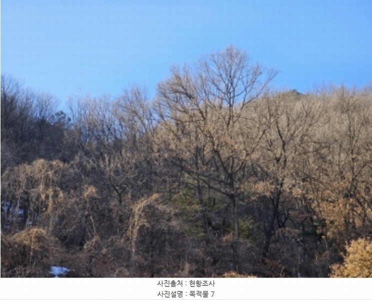 2024타경35971 충청북도 음성군 삼성면 용성리 552-4 농지 경매 이미지