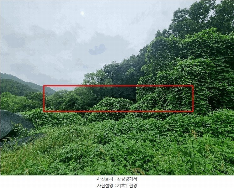 2025타경2046 충청북도 충주시 앙성면 목미리 255-3 농지 경매 이미지