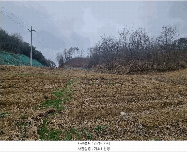 2025타경30413 충청북도 충주시 앙성면 강천리 산8-3 임야 경매 이미지