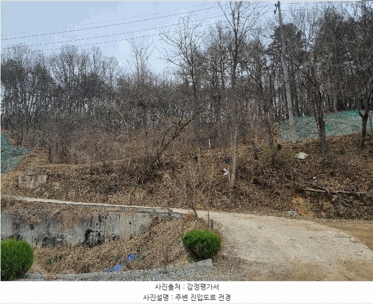 2025타경30413 충청북도 충주시 앙성면 강천리 산8-3 임야 경매 이미지