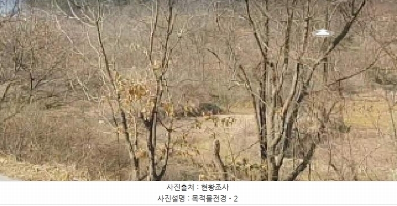 2025타경30413 충청북도 충주시 앙성면 강천리 산8-3 임야 경매 이미지
