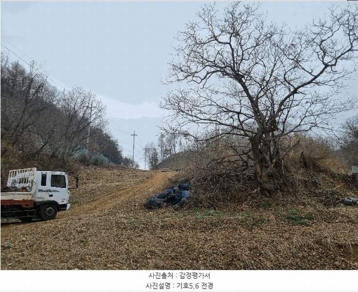 2025타경30413 충청북도 충주시 앙성면 강천리 산8-3 임야 경매 이미지