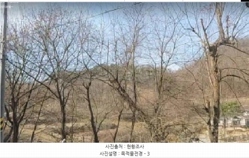 2025타경30413 충청북도 충주시 앙성면 강천리 산8-3 임야 경매 이미지