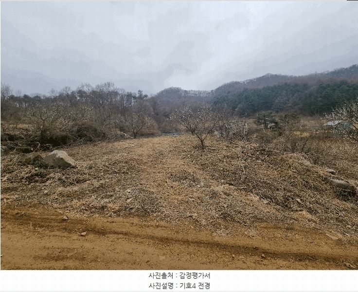 2025타경30413 충청북도 충주시 앙성면 강천리 산8-3 임야 경매 이미지