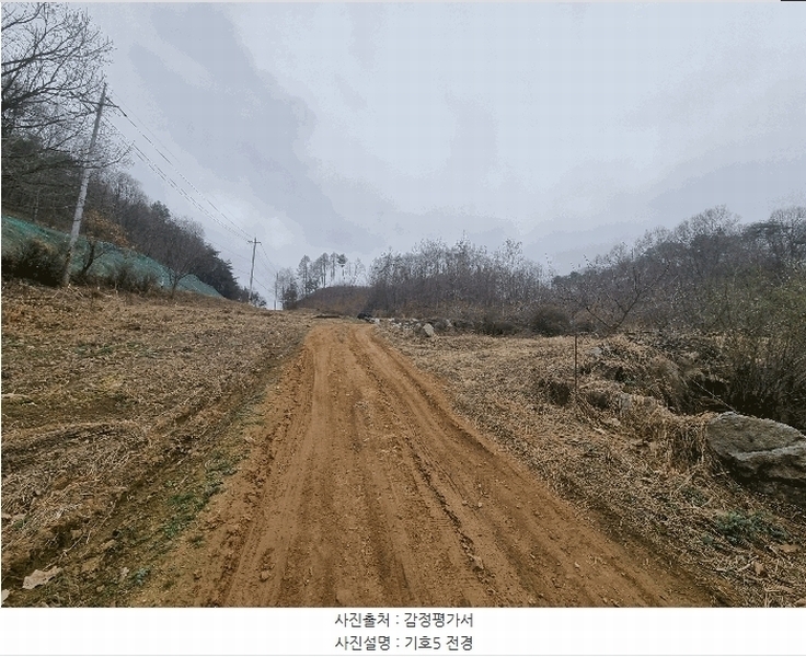 2025타경30413 충청북도 충주시 앙성면 강천리 산8-3 임야 경매 이미지