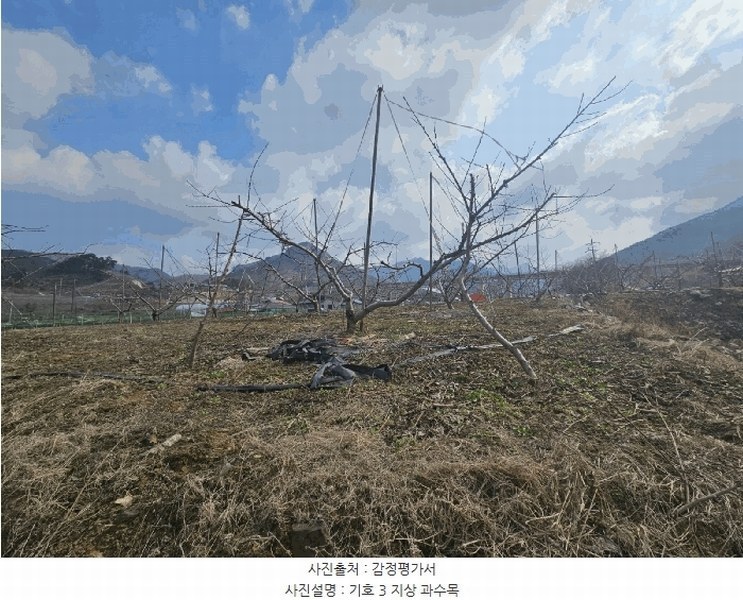 2025타경30420 충청북도 충주시 수안보면 안보리 310 농지 경매 이미지