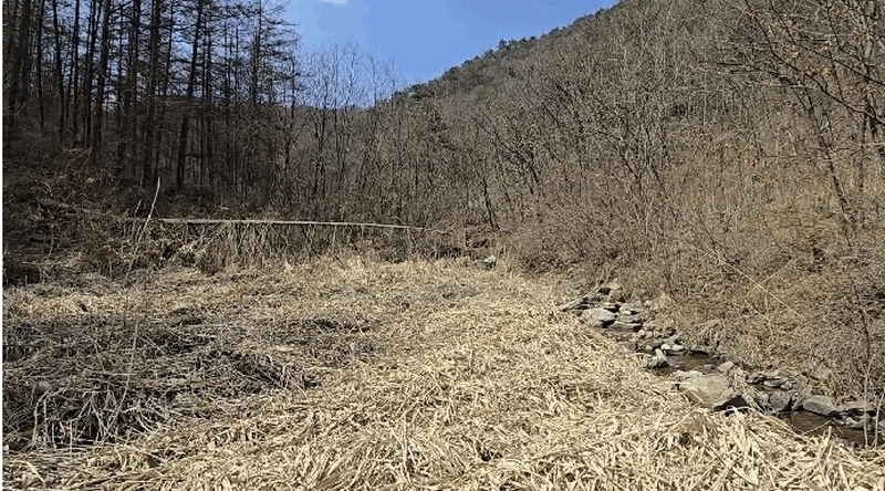 2025타경30425 충청북도 충주시 노은면 수룡리 340-1 하천 경매 이미지