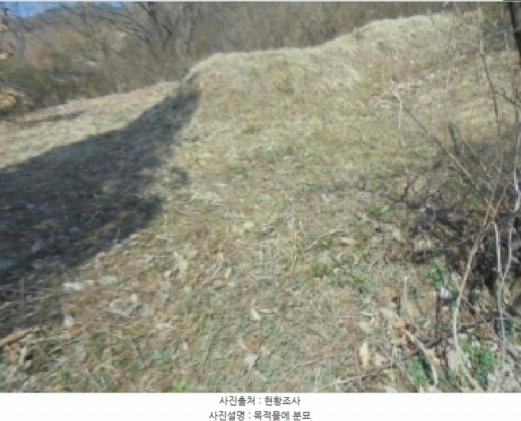 2025타경30443 충청북도 충주시 소태면 오량리 54 농지 경매 이미지