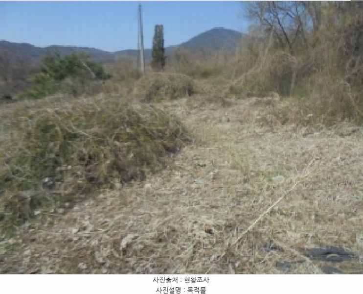 2025타경30443 충청북도 충주시 소태면 오량리 54 농지 경매 이미지