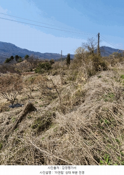 2025타경30443 충청북도 충주시 소태면 오량리 54 농지 경매 이미지