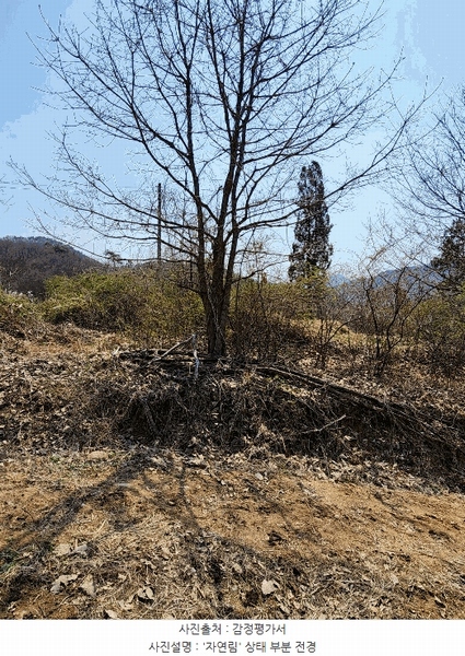 2025타경30443 충청북도 충주시 소태면 오량리 54 농지 경매 이미지