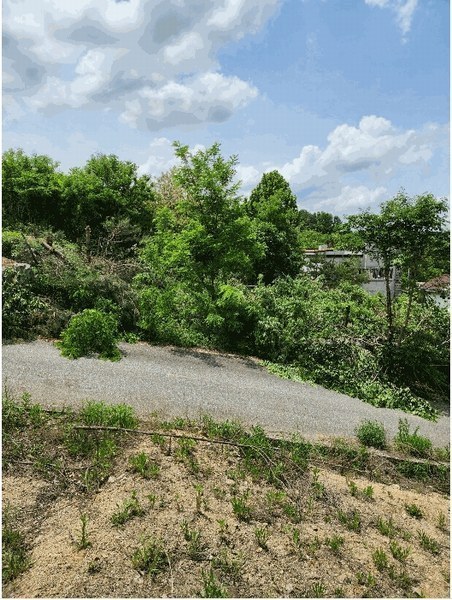 2025타경30531 충청북도 음성군 감곡면 오궁리 460-28 임야 경매 이미지