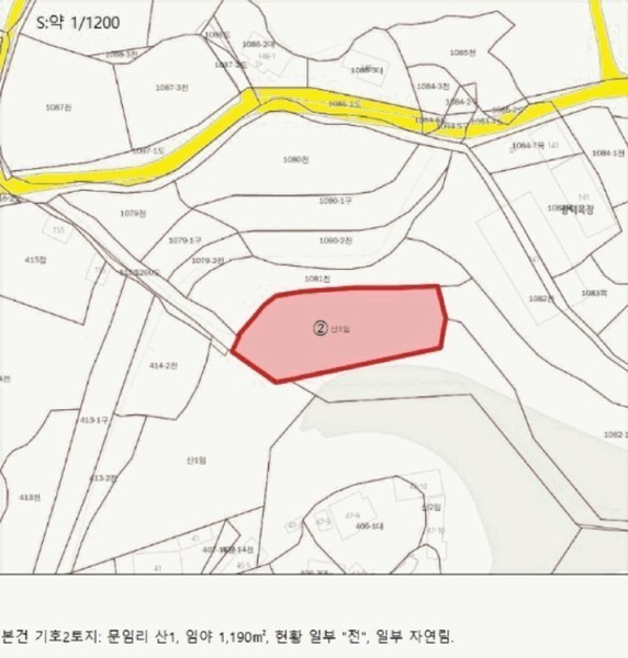 2025타경30632 충청북도 음성군 원남면 문암리 산1 임야 경매 이미지