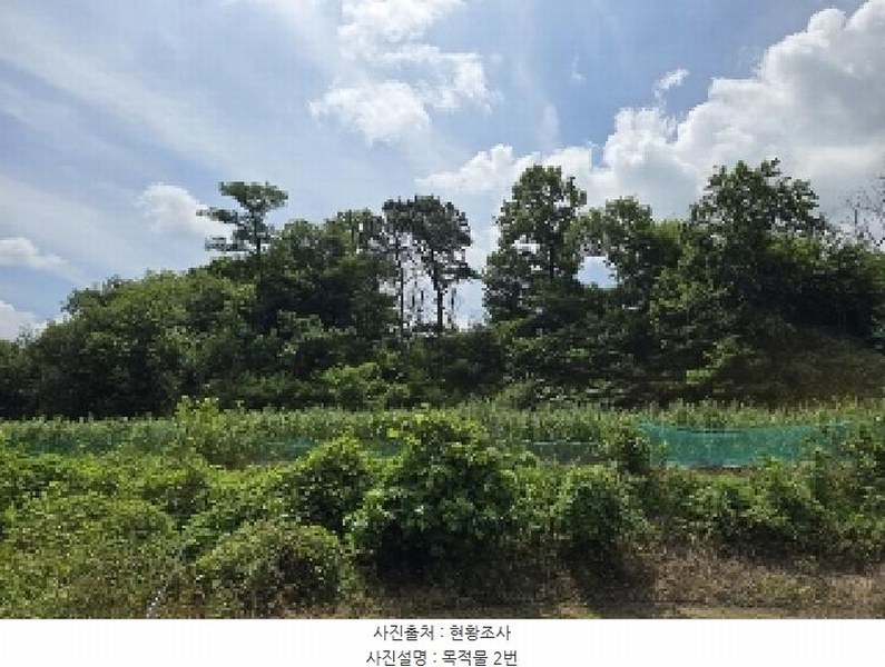 2025타경30632 충청북도 음성군 원남면 문암리 산1 임야 경매 이미지