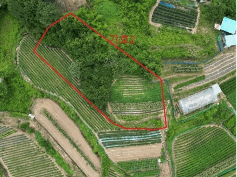 2025타경30632 충청북도 음성군 원남면 문암리 산1 임야 경매 이미지