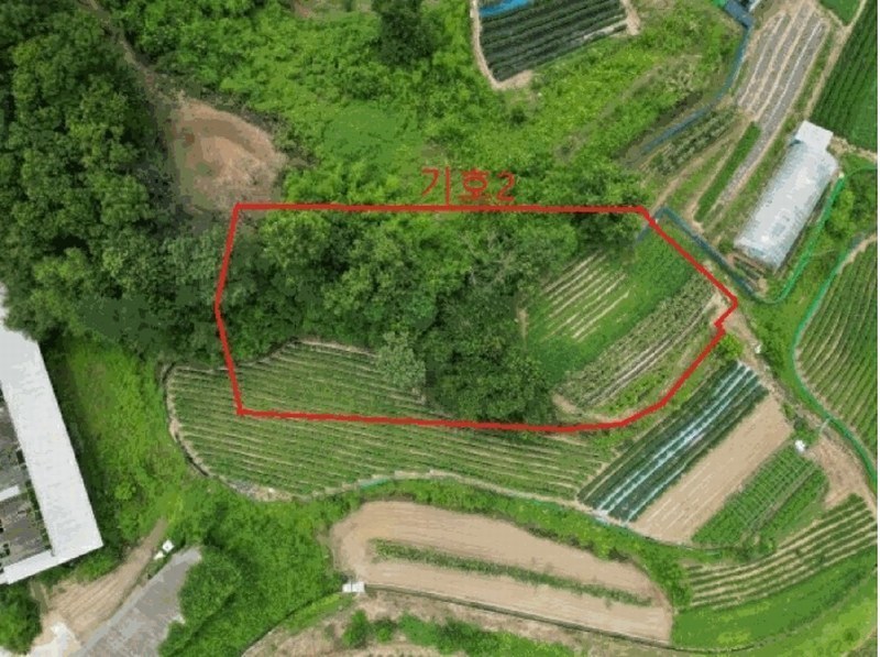 2025타경30632 충청북도 음성군 원남면 문암리 산1 임야 경매 이미지