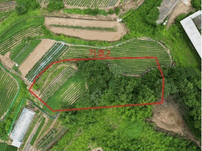 2025타경30632 충청북도 음성군 원남면 문암리 산1 임야 경매 이미지