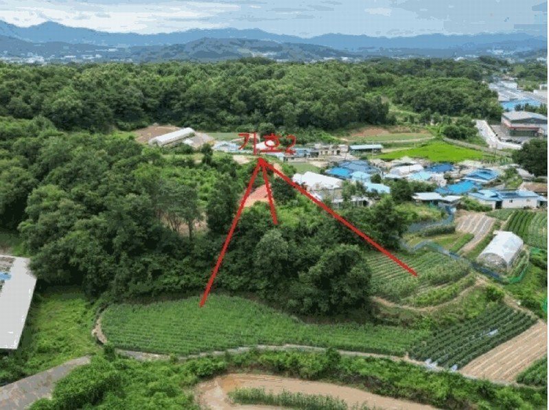 2025타경30632 충청북도 음성군 원남면 문암리 산1 임야 경매 이미지
