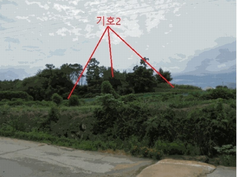 2025타경30632 충청북도 음성군 원남면 문암리 산1 임야 경매 이미지
