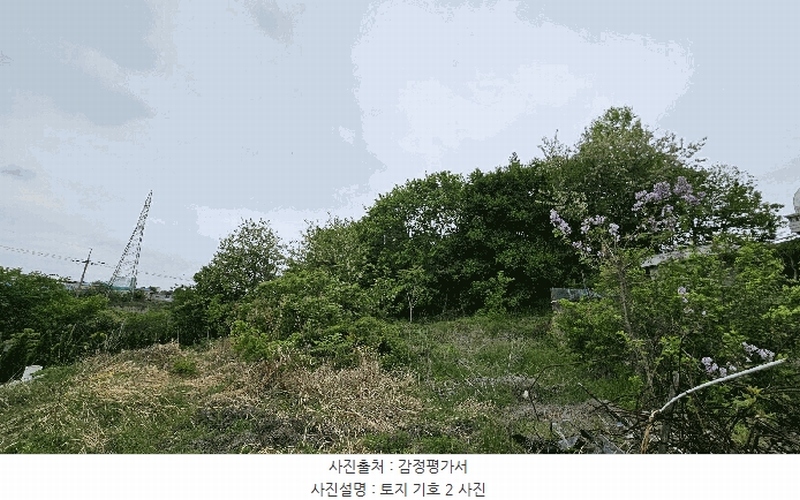 2025타경30781 경상남도 진주시 정촌면 화개리 1658-6 임야 경매 이미지
