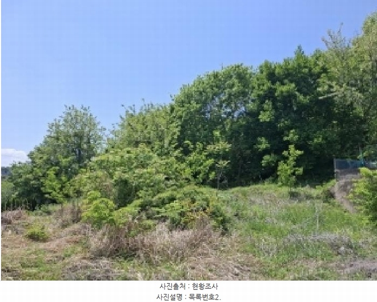 2025타경30781 경상남도 진주시 정촌면 화개리 1658-6 임야 경매 이미지