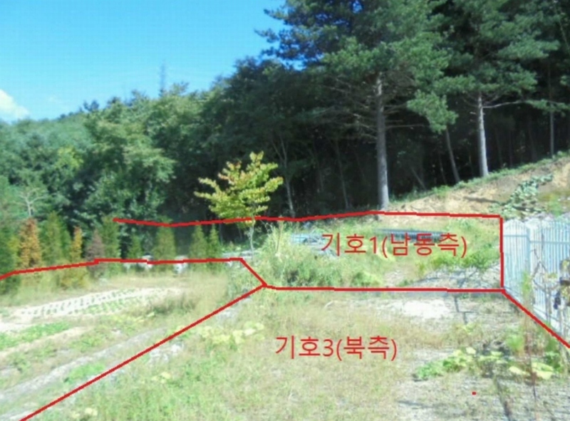 2022타경1229 충청북도 제천시 백운면 평동리 444-20 임야 경매 이미지
