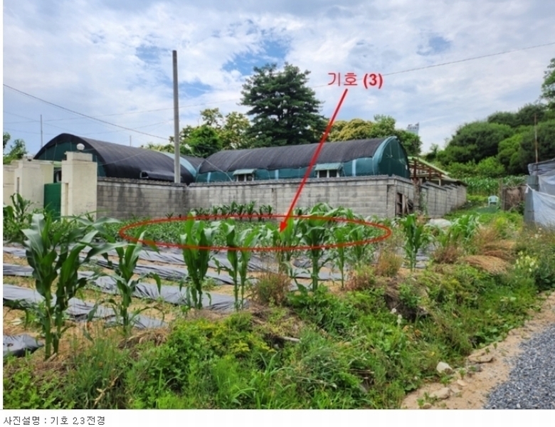 2023타경6115 충청북도 제천시 신월동 1136-29 임야 경매 이미지
