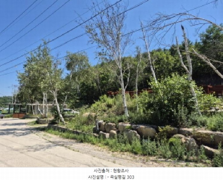 2025타경10309 강원특별자치도 고성군 죽왕면 야촌리 1024-31 근린시설 경매 이미지