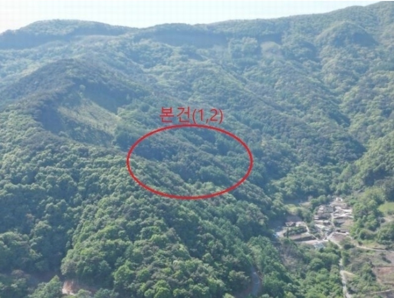 2024타경572 충청북도 단양군 영춘면 오사리 318-4 농지 경매 이미지
