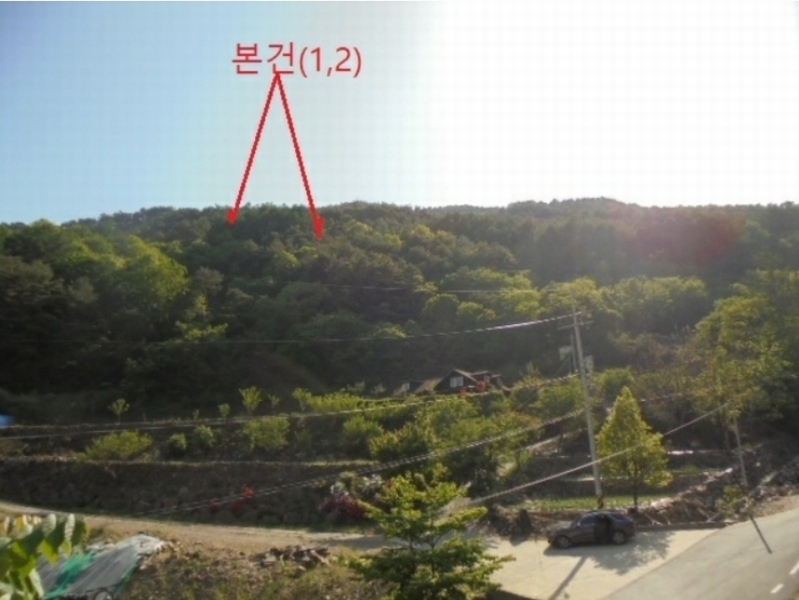 2024타경572 충청북도 단양군 영춘면 오사리 318-4 농지 경매 이미지