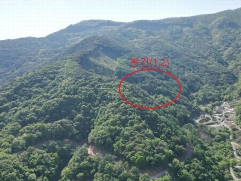 2024타경572 충청북도 단양군 영춘면 오사리 318-4 농지 경매 이미지