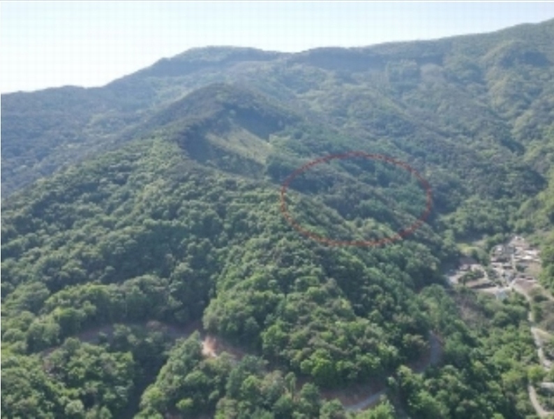 2024타경572 충청북도 단양군 영춘면 오사리 318-4 농지 경매 이미지