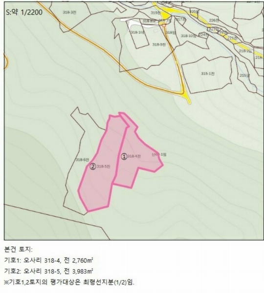 2024타경572 충청북도 단양군 영춘면 오사리 318-4 농지 경매 이미지