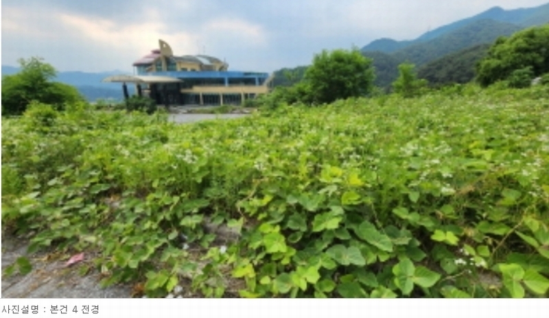 2024타경695 충청북도 제천시 백운면 평동리 115 근린시설 경매 이미지