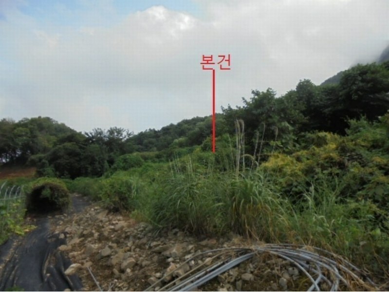 2024타경1155 충청북도 단양군 적성면 소야리 560-4 임야 경매 이미지