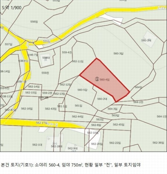 2024타경1155 충청북도 단양군 적성면 소야리 560-4 임야 경매 이미지