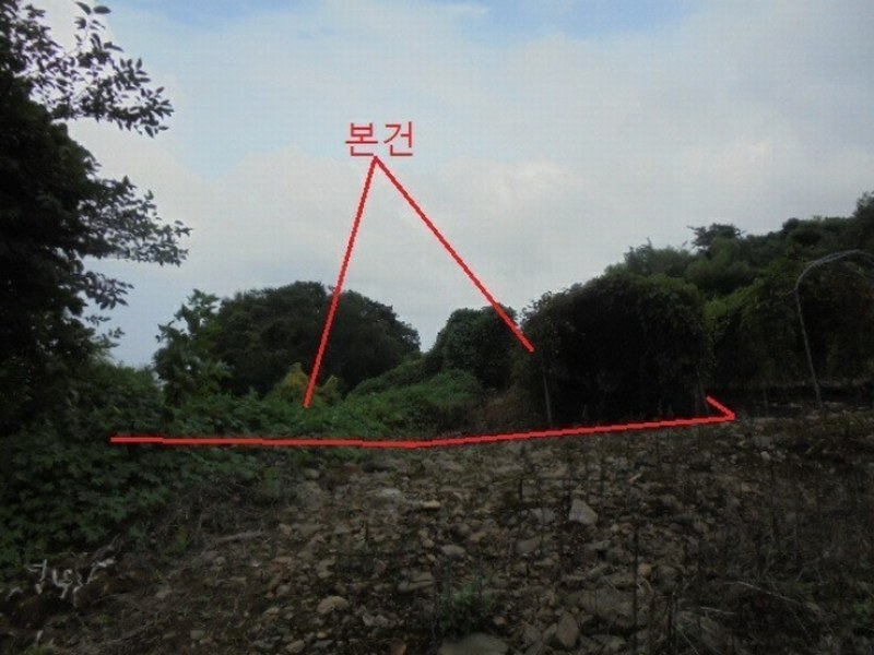 2024타경1155 충청북도 단양군 적성면 소야리 560-4 임야 경매 이미지