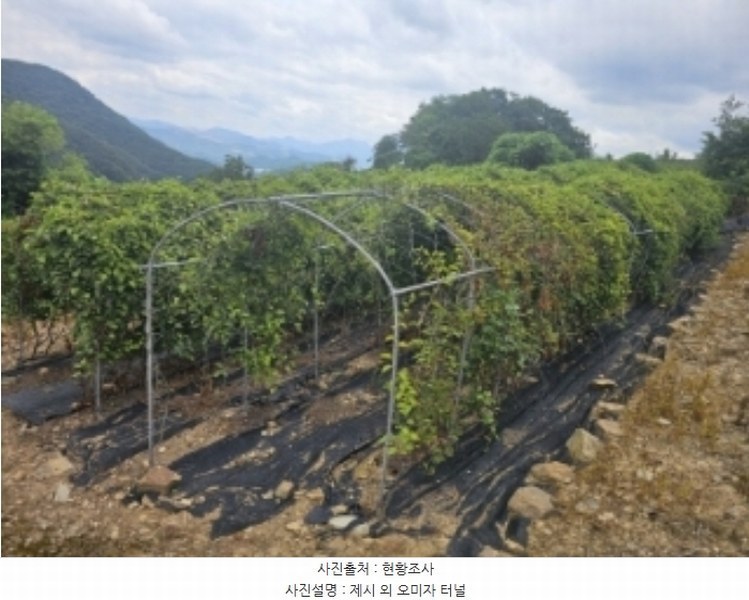 2024타경1155 충청북도 단양군 적성면 소야리 560-4 임야 경매 이미지