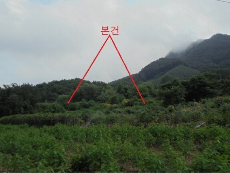 2024타경1155 충청북도 단양군 적성면 소야리 560-4 임야 경매 이미지
