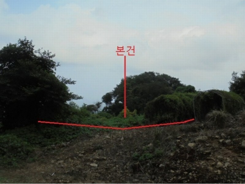 2024타경1155 충청북도 단양군 적성면 소야리 560-4 임야 경매 이미지