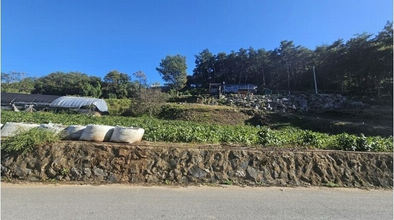 2024타경1292 충청북도 단양군 적성면 현곡리 162-20 농지 경매 이미지
