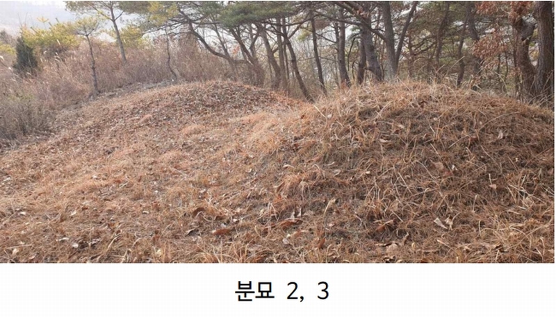 2024타경1834 충청북도 제천시 수산면 구곡리 72-4 임야 경매 이미지