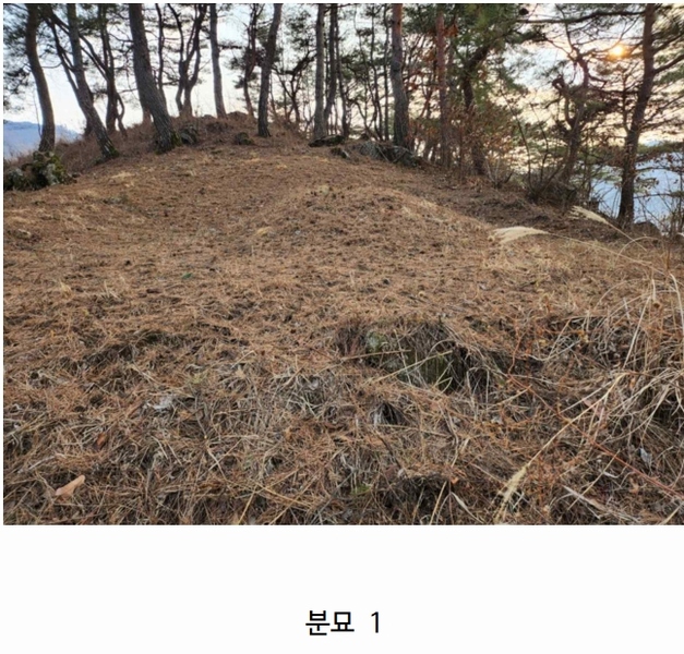 2024타경1834 충청북도 제천시 수산면 구곡리 72-4 임야 경매 이미지