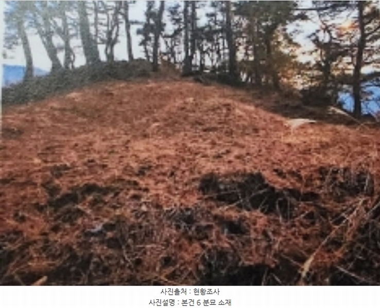 2024타경1834 충청북도 제천시 수산면 구곡리 72-4 임야 경매 이미지