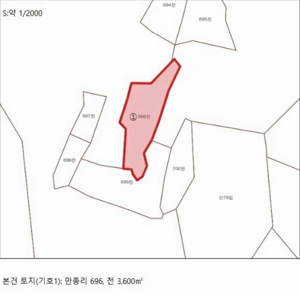 2024타경5959 충청북도 단양군 영춘면 만종리 696 농지 경매 이미지