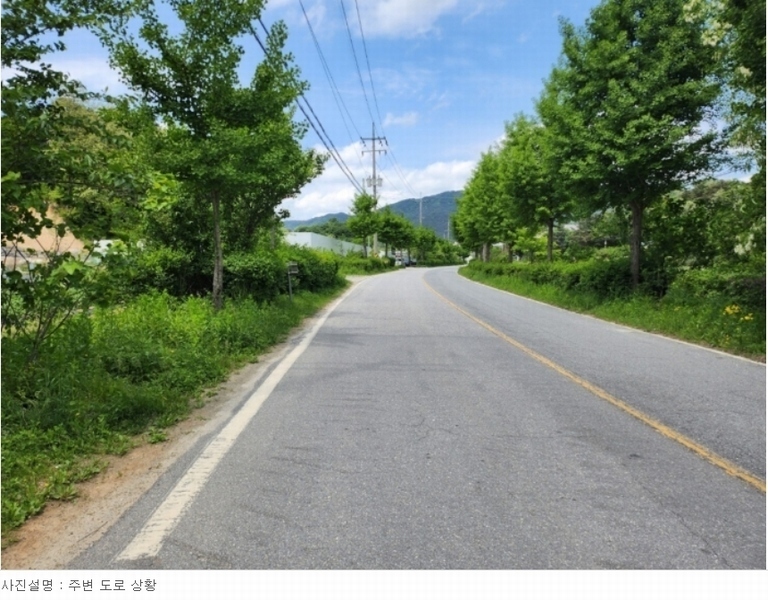 2024타경6037 충청북도 제천시 신월동 1111-7 임야 경매 이미지