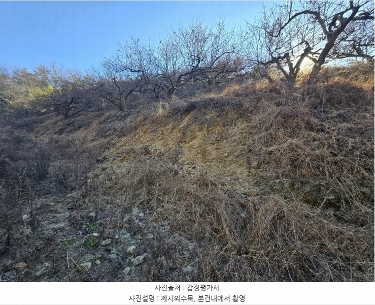 2024타경6730 경상남도 진주시 명석면 관지리 432-1 과수원 경매 이미지