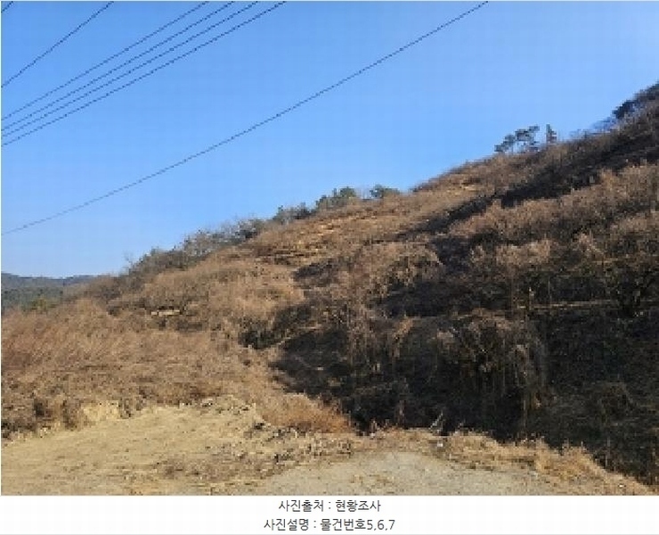 2024타경6730 경상남도 진주시 명석면 관지리 432-1 과수원 경매 이미지
