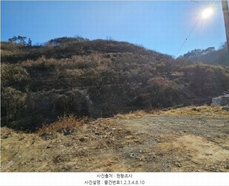 2024타경6730 경상남도 진주시 명석면 관지리 432-1 과수원 경매 이미지